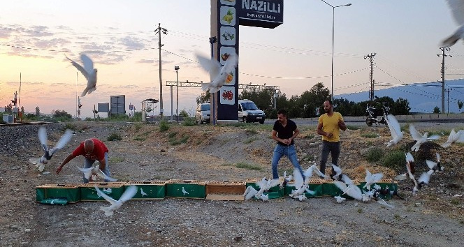 9 asırlık kuşlar kupa için kanat çırptı