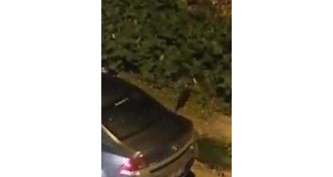 Sansar yolunu şaşırıp şehre indi