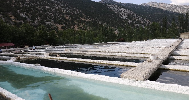 Kahramanmaraş’ta üretilen alabalık, 50’den fazla ülkeye ihraç ediliyor