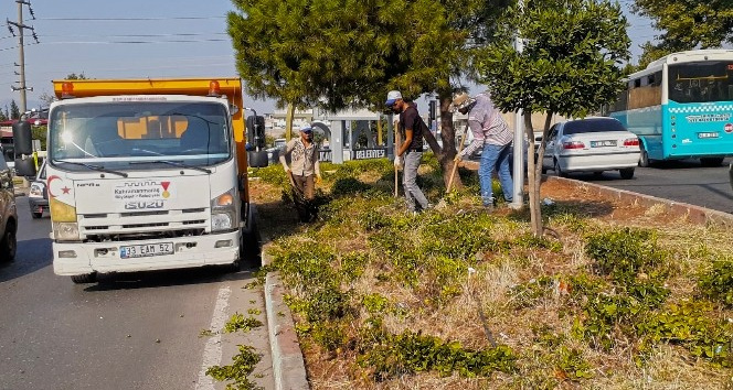 Kahramanmaraş’ta yeşil alanlarda bakım çalışması