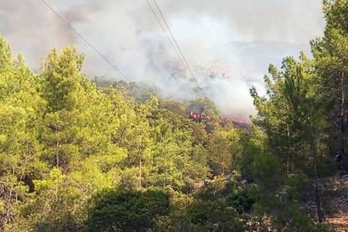 Seydikemer&#039;de orman yangını