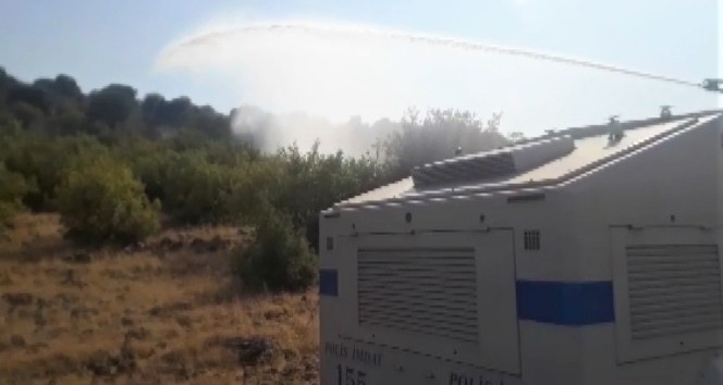 Orman yangını kadınları korkuttu