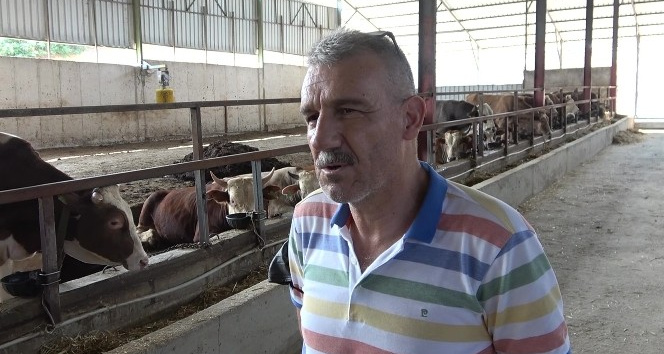 Selden etkilenen çiftçilere 89 büyükbaş hayvan gönderdiler