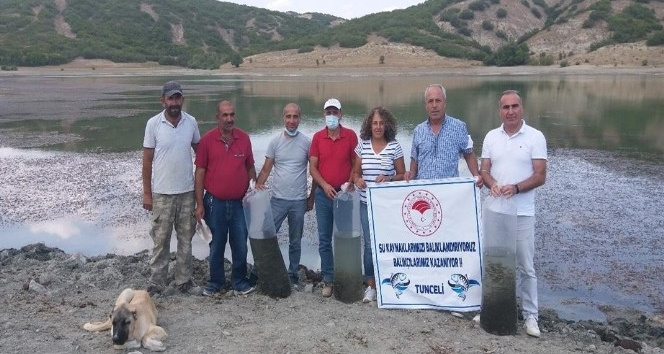 Tunceli’de Günboğazı Göletine 100 bin pullu sazan yavrusu bırakıldı