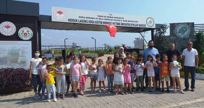 Öğrenciler, tıbbi bitkileri tanıdı