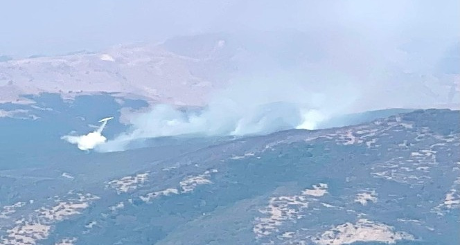 2 helikopter ve 1 uçağın müdahale ettiği Tunceli’deki orman yangınının yüzde 95’i söndürüldü