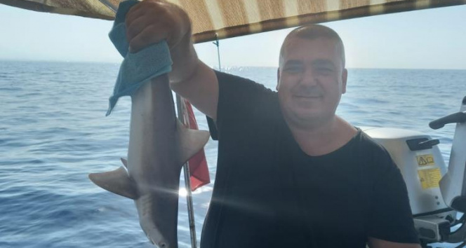 Balıkçı ağına takılan yavru köpek balığı kurtarılarak denize bırakıldı