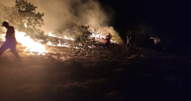 Bingöl’de bir bölgedeki yangın söndürüldü, diğer yangına müdahale sürüyor