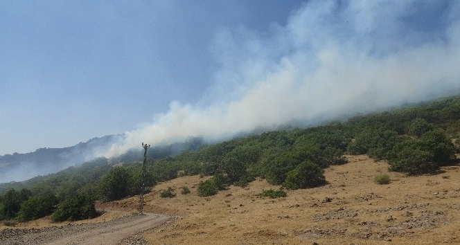 Bingöl’deki orman yangına 100 kişilik ekip müdahale ediyor