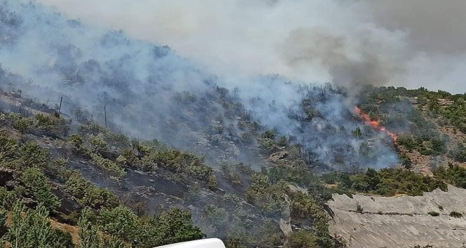 Bitlis’te 2 ayrı noktada örtü yangını çıktı