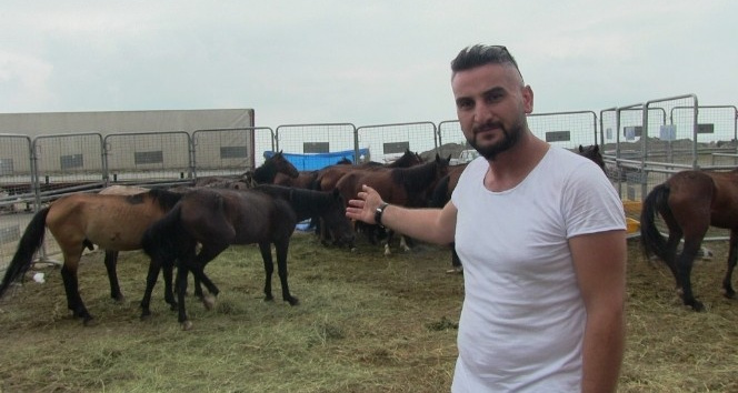 Hopa’da ölüme terk edilen atlar korumaya alındı, sahibine 84 bin 500 lira para cezası kesildi