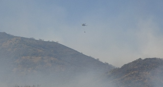Bingöl’deki orman yangınını söndürme çalışmaları sürüyor