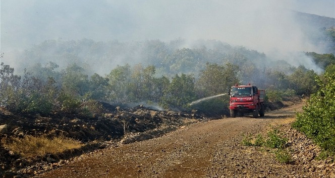 Bingöl’deki yangına havadan ve karadan müdahale sürüyor