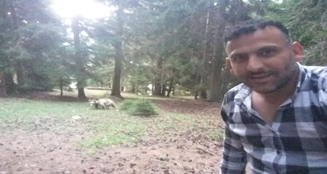 Taksi şoförü ormanda rastladığı ayı ile öz çekim yaptı sosyal medyayı salladı