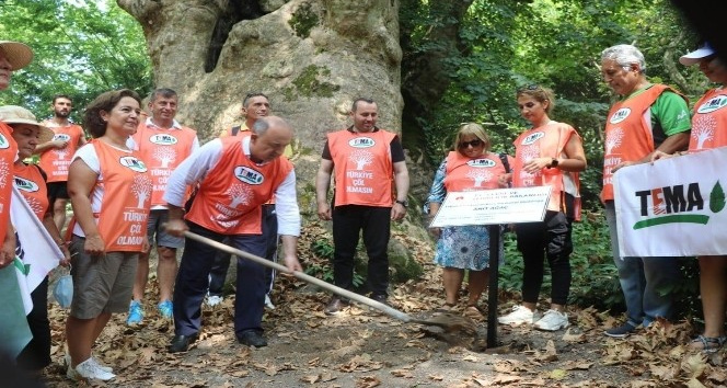 Kapalıçınar’a tescil plâkası