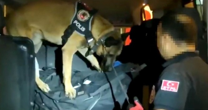Narkotik köpeği ’Poyraz’ uyuşturucuya geçit vermiyor