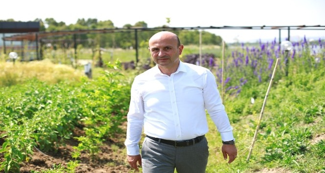 Altınova, AGRİCİTİES’e üye oldu