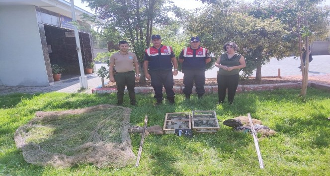 Tuzakla saka kuşu avlayan 2 kişiye 43 bin lira ceza