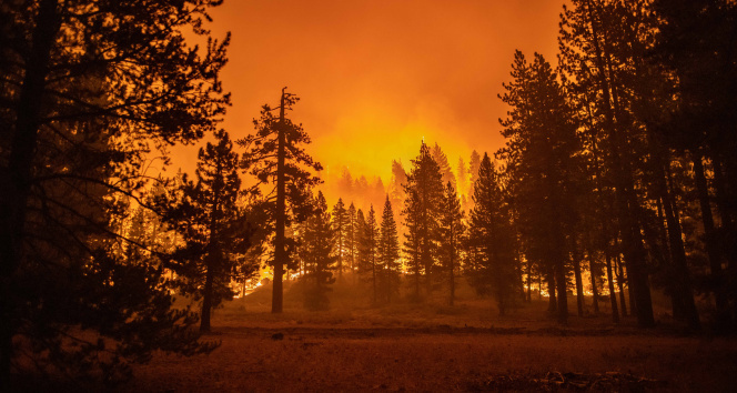 Californiadaki Caldor yangını 34 binden fazla yapıyı tehdit ediyor