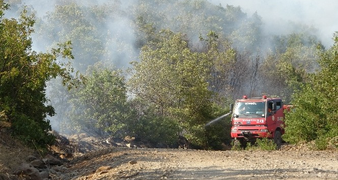 Bingöl’deki orman yangını kontrol altına alındı