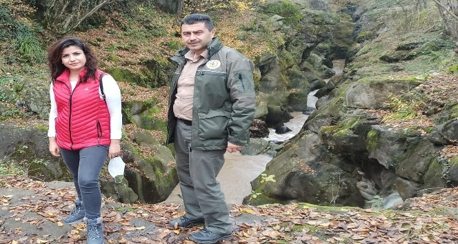 Orman İşletme Şefi Şen: “Bahçe temizliklerinde yakılan ateş orman yangınlarını arttırıyor”