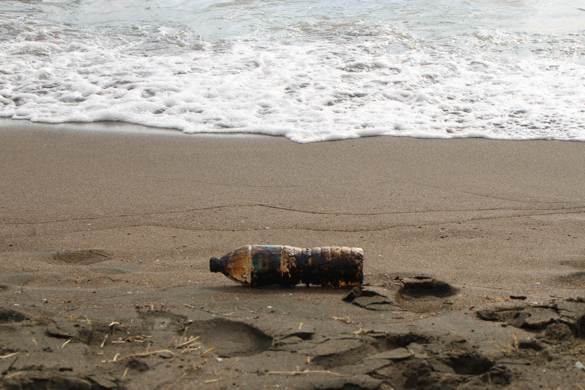 Samandağ sahiline vuran petrol atıkları canlıları tehdit ediyor