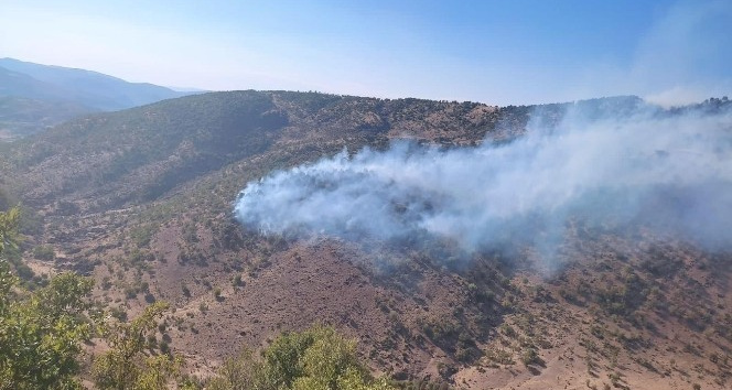 Bingöl’de 2 ayrı noktada çıkan orman yangını büyümeden söndürüldü