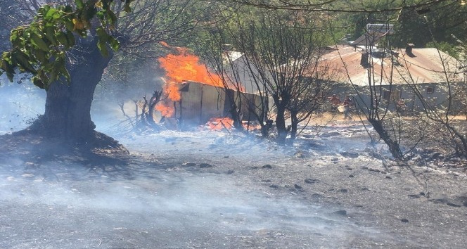 Ormanlık alanda çıkan yangını evlere sıçramadan söndürüldü