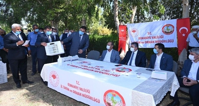 Osmaniye’de çiftçilere 4 bin adet zeytin kasası dağıtıldı