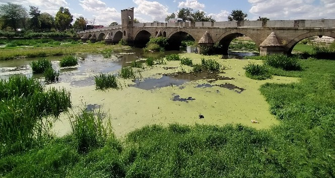 Tunca Nehri çöp ve yosunlarla kaplandı