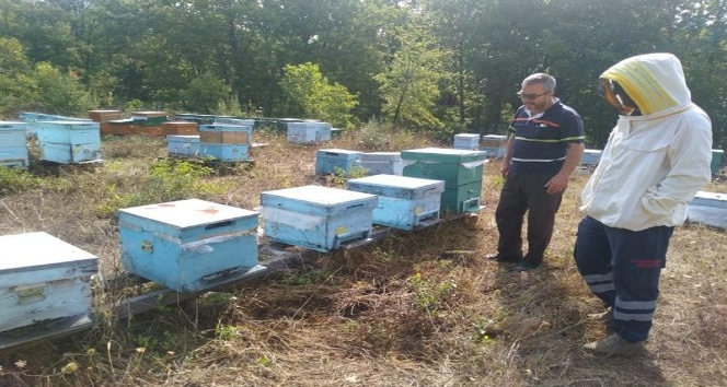 Kırklareli’nde meşe balı üreticileri bilgilendirildi