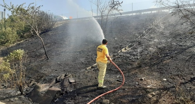 Otoyol kenarında çıkan örtü yangını büyümeden söndürüldü