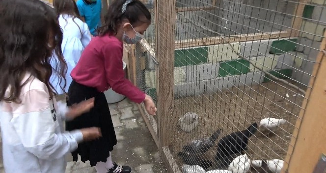 &quot;Çocuklar hayvan sevgisiyle büyüsün&quot; diye okula mini bir hayvanat bahçesi yaptılar