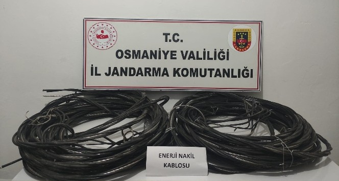 Elektrik enerjisi nakil hattından kablo çalan şahıslar yakalandı