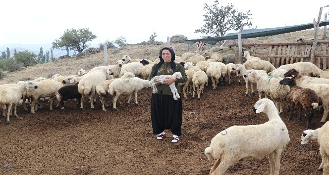 Aksaray’da hibe destekli projelerle tarım ve hayvancılık hızla gelişiyor