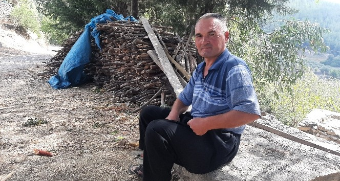 Tilki ile çobanın şaşırtan dostluğu