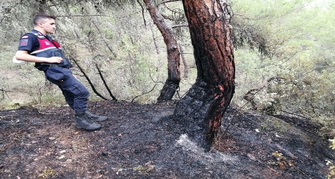 Karabük’te örtü altı yangını büyümeden söndürüldü