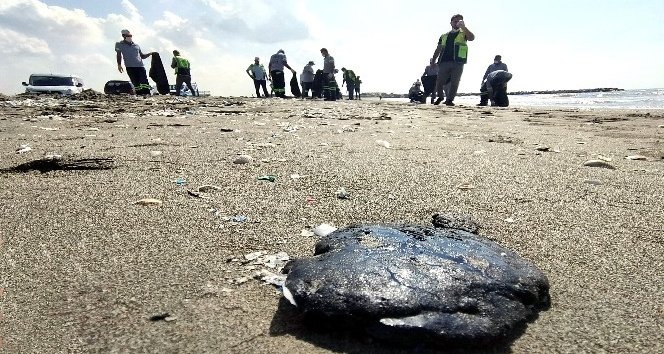 Mersin sahiline vuran petrol atıkları temizlendi
