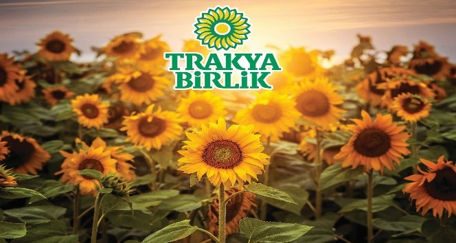 Yağlık ayçiçeğine avans ödemesi