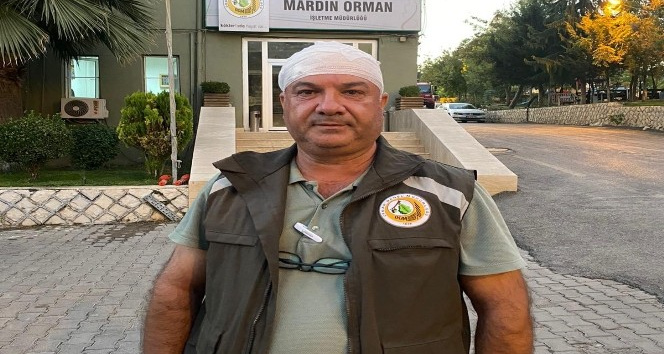 Mardin’de kaçak ağaç kesimi yapan kişiler, orman görevlilerini darp etti