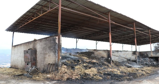 Amasya’da çıkan yangın hala devam ediyor