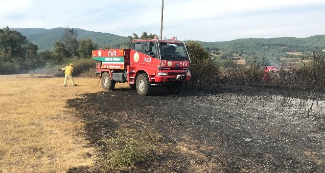 Yenice’de anız yangını