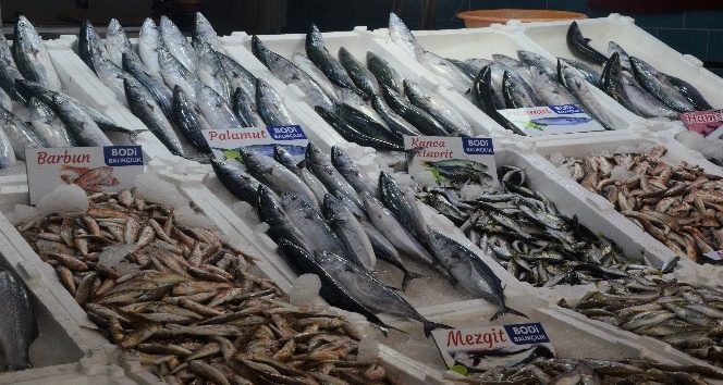 Ordu’da balıkçı tezgahları şenlendi