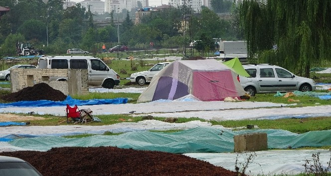 Soydan: “Islanan fındıkta çürüme riski çok artıyor”
