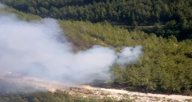 Osmaniye’deki orman yangını büyümeden söndürüldü
