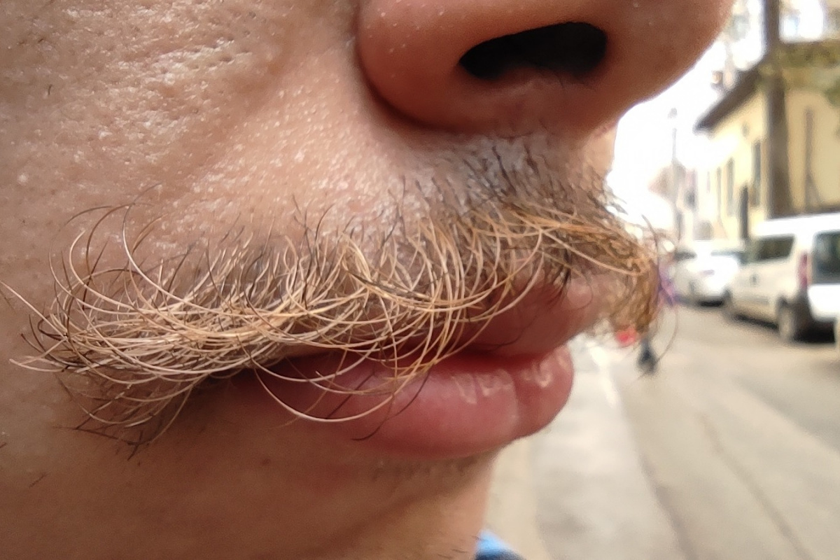 Gören inanamıyor, sadece bıyıkları sarı