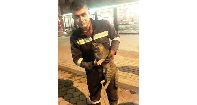 Otomobilin motor bölümünde mahsur kalan kedi kurtarıldı