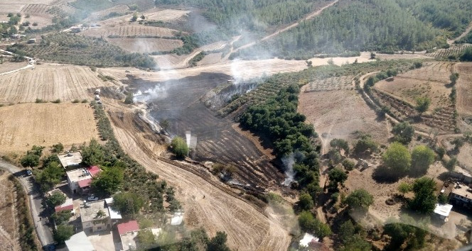 Osmaniye’de anız yangını ormanlık alana sıçradı
