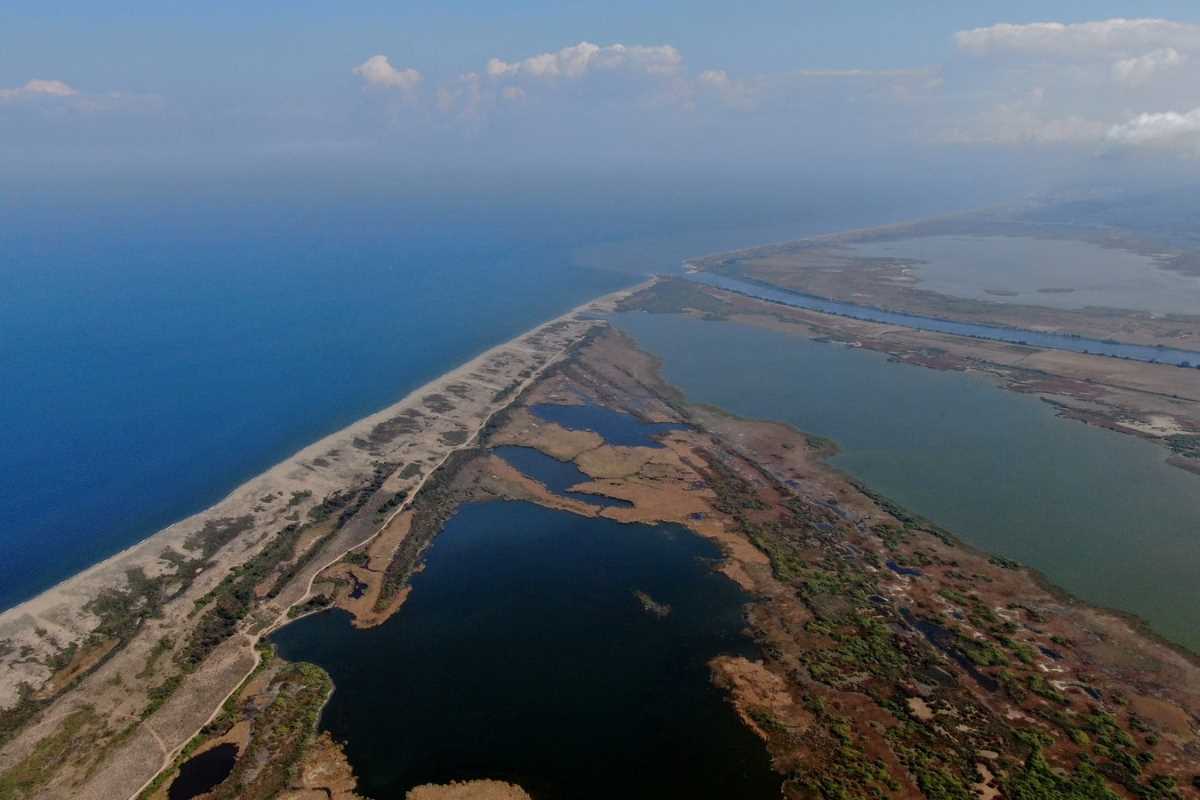 Karacabey longoz ormanlarında sonbahar güzelliği