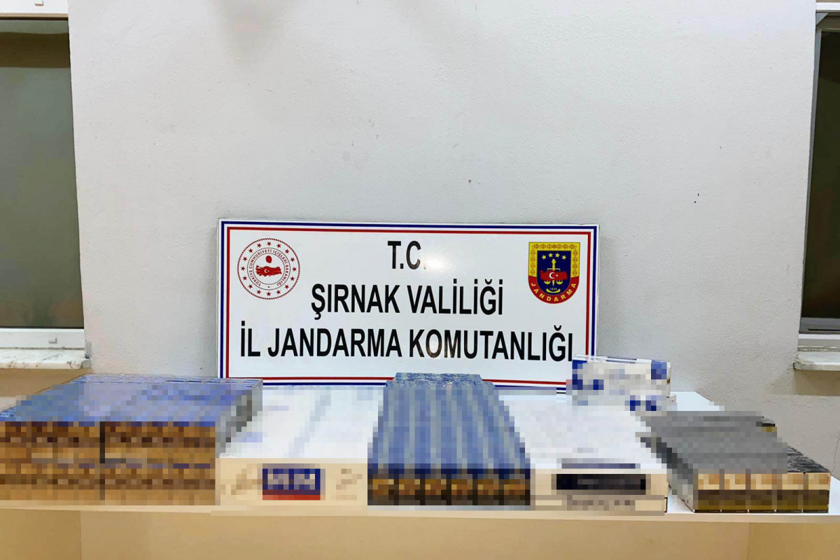 Şırnak&#039;ta 22 bin 200 karton kaçak sigara ele geçirildi